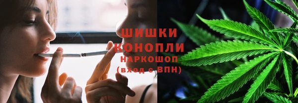 твердый Аркадак