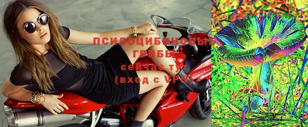 твердый Аркадак