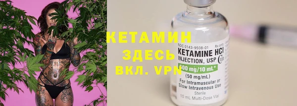 твердый Аркадак