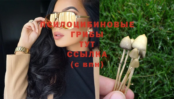 шишки Армянск