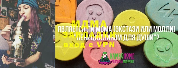 твердый Аркадак