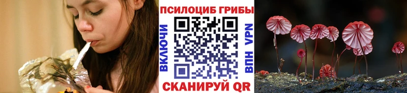 Галлюциногенные грибы MAGIC MUSHROOMS где купить Баймак